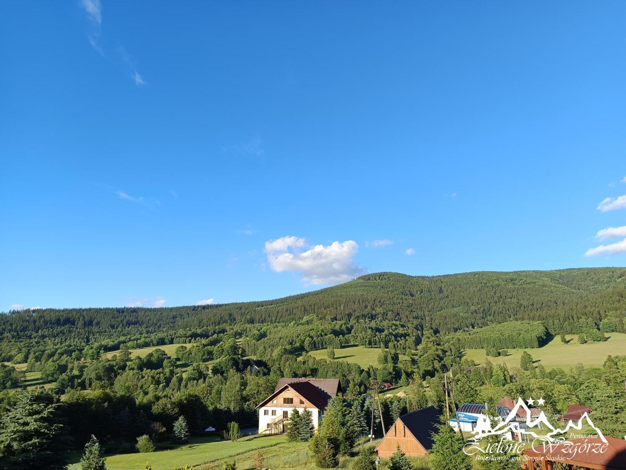 Pensjonat Zielone Wzgorze W Boleslawowie Stronie Slaskie Luaran gambar